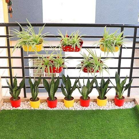 Create Greenery Around You In A Balcony With Garden Combo Plants Pack